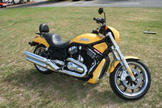 yellow v rod 2007 3.JPG